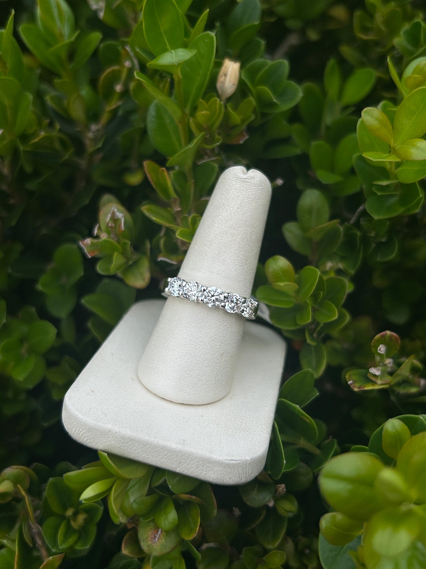 1.54 CTW 5 Stone Platinum Band - The Village Jeweler