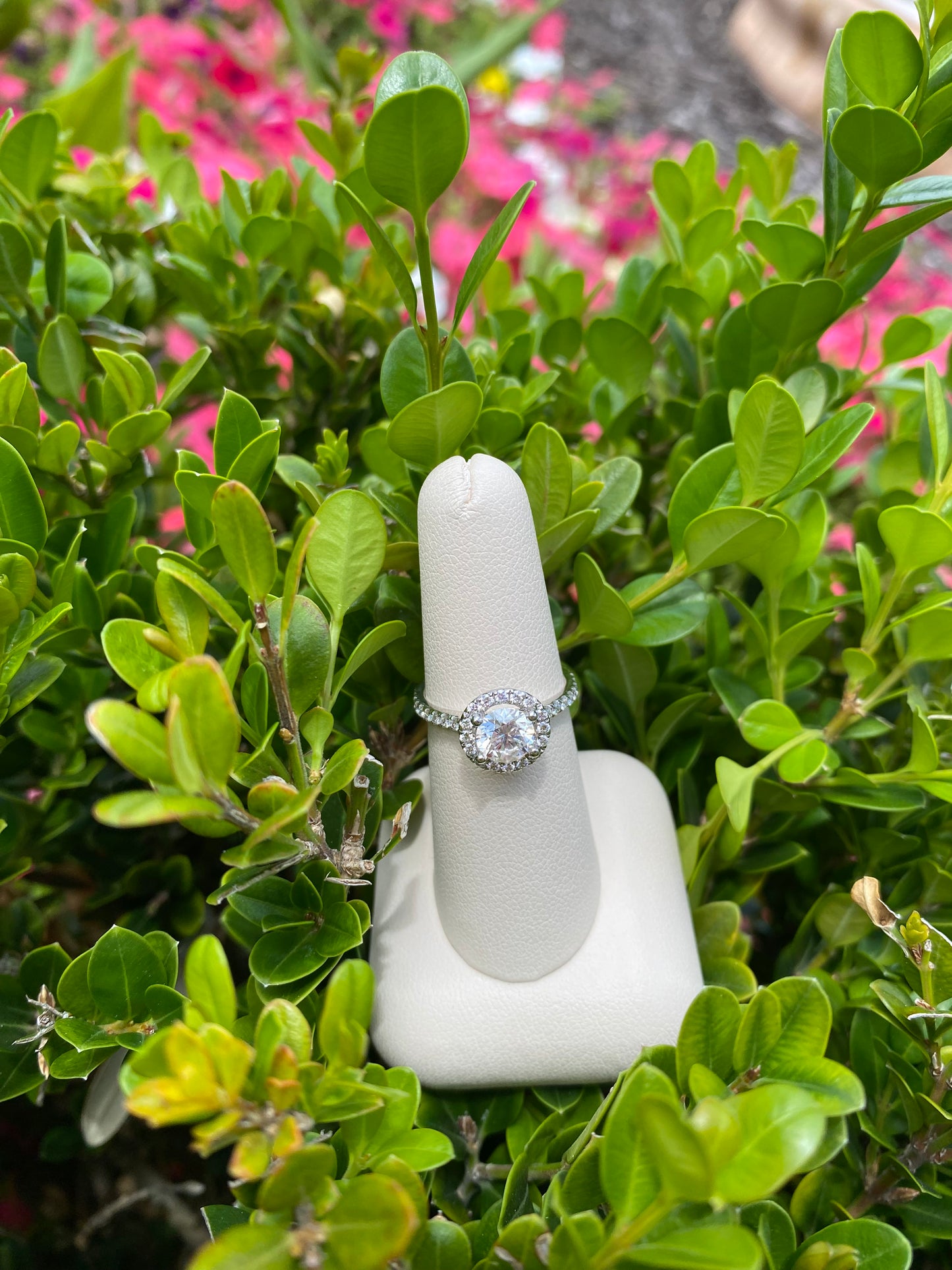 Round Halo and Pave Engagement Ring