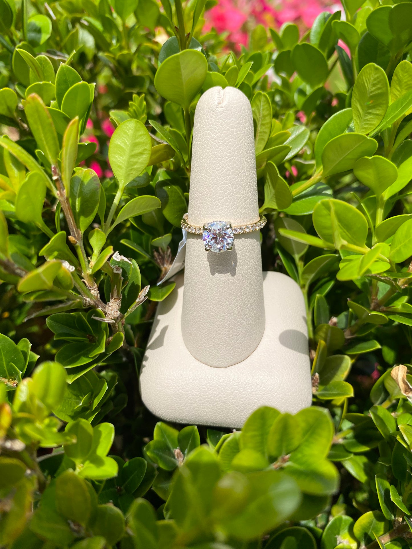 14K Yellow Gold Lindsey Solitaire with Pave