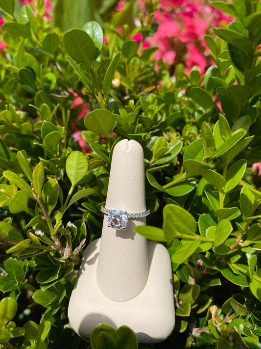 14k White Gold 1.81 CT Solitaire with Hidden Halo - The Village Jeweler