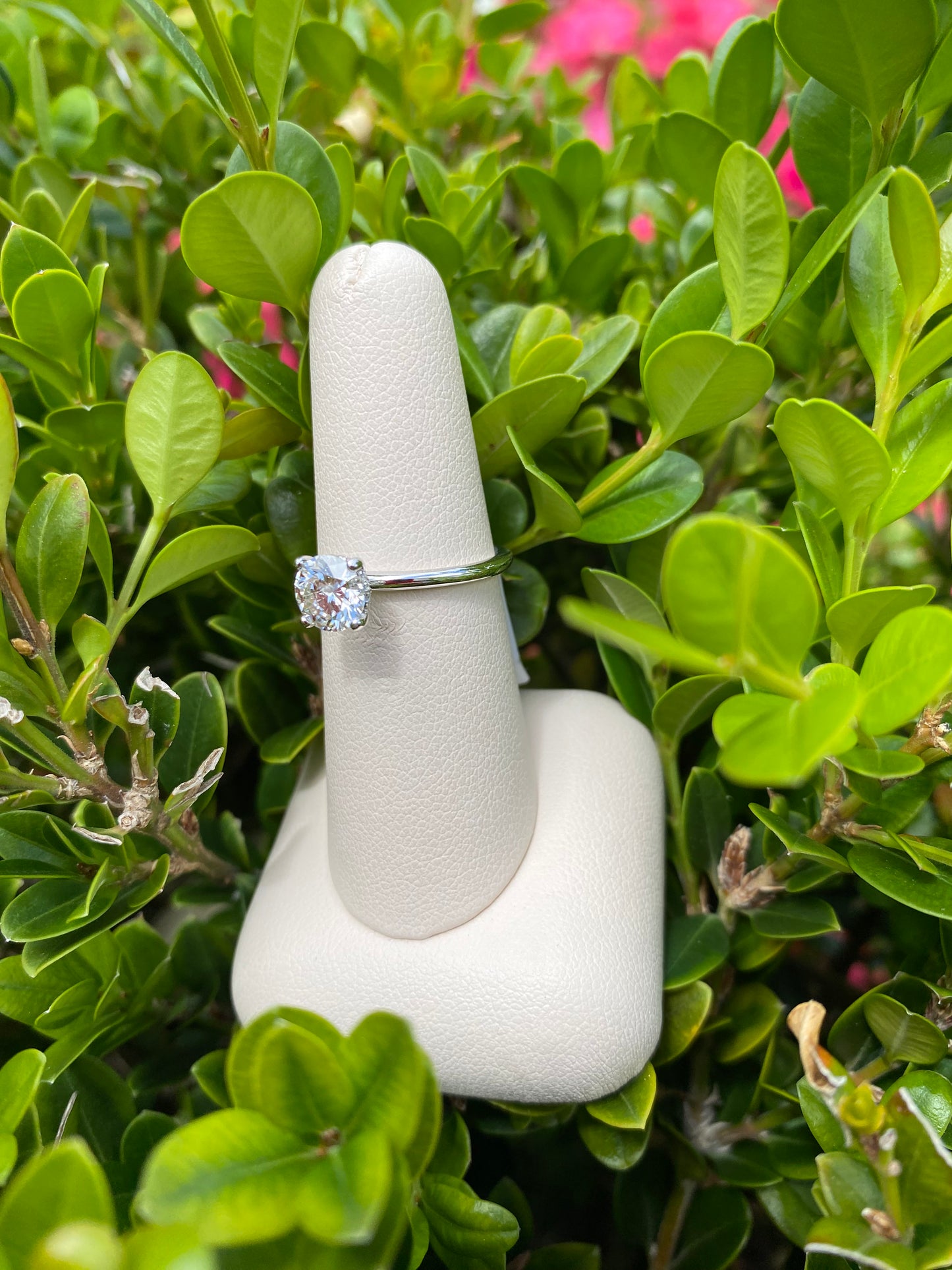 14k White Gold Classic Solitaire - The Village Jeweler