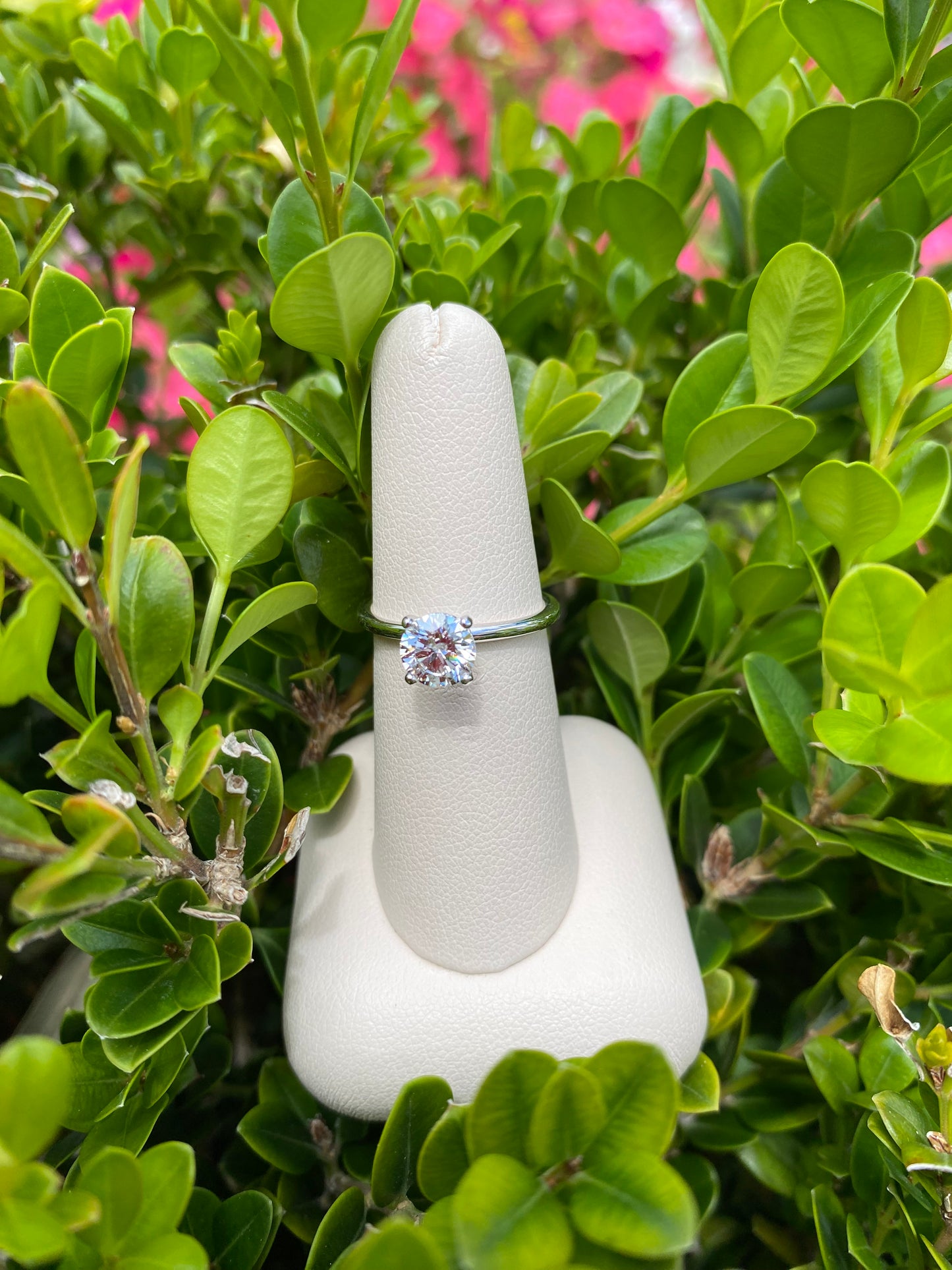 14k White Gold Classic Solitaire - The Village Jeweler