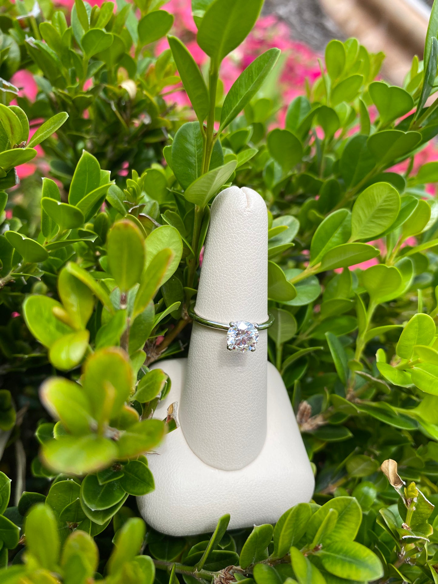 14k White Gold Classic Solitaire - The Village Jeweler