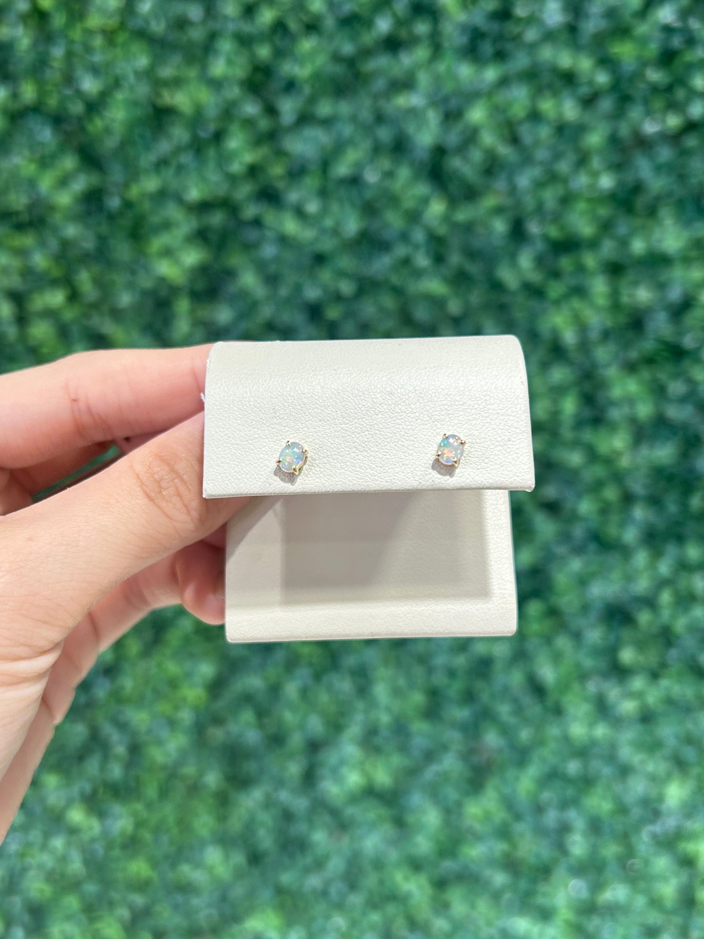14k Yellow Gold White Opal Studs - The Village Jeweler