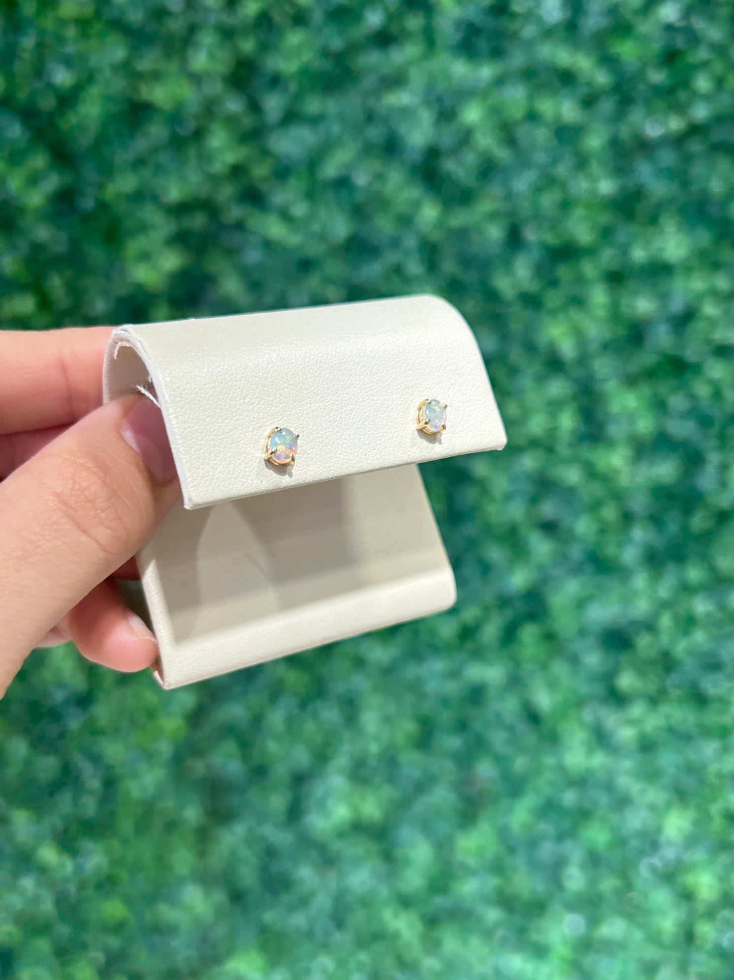 14k Yellow Gold White Opal Studs - The Village Jeweler