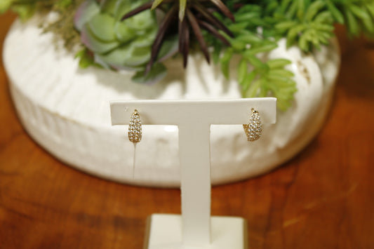 Diamond Hoop Earrings