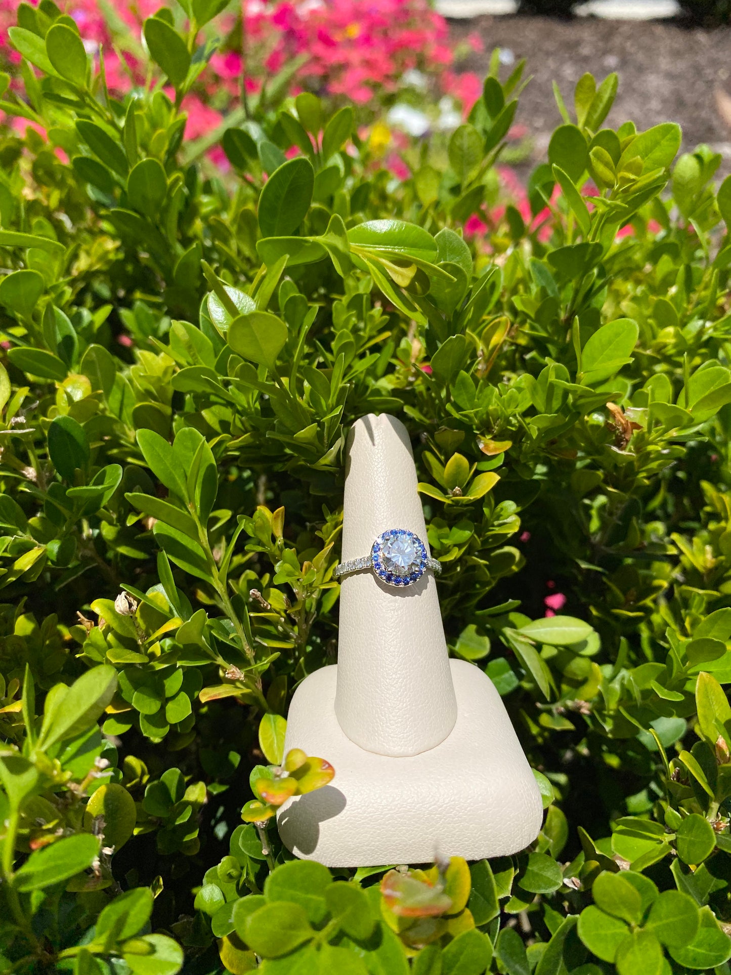 14k White Gold Ring with Blue Sapphire Halo - The Village Jeweler