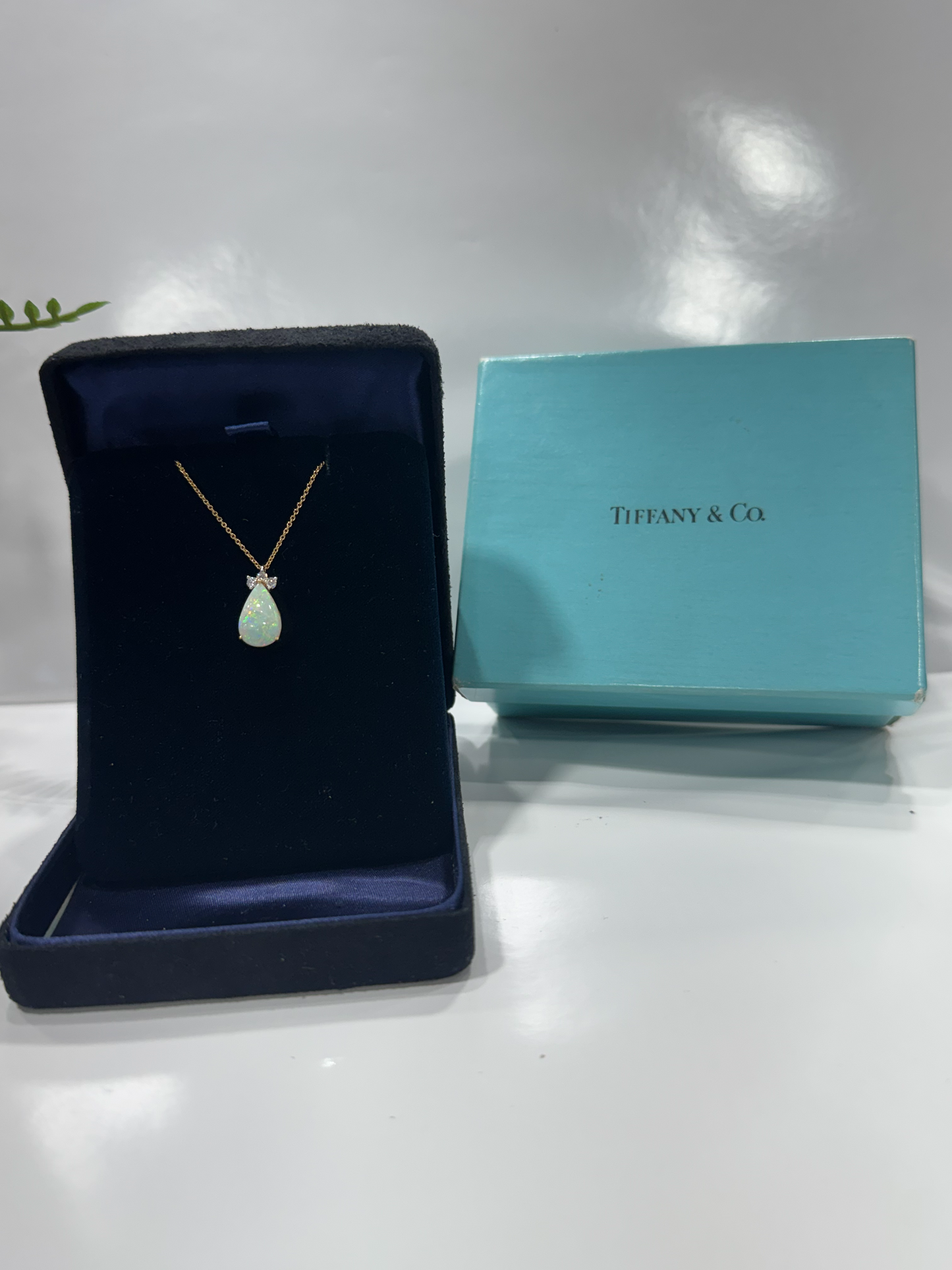 A Tiffany & Co. pendant necklace displayed in an open navy blue presentation box, with the signature light blue brand box placed behind it on a white surface.