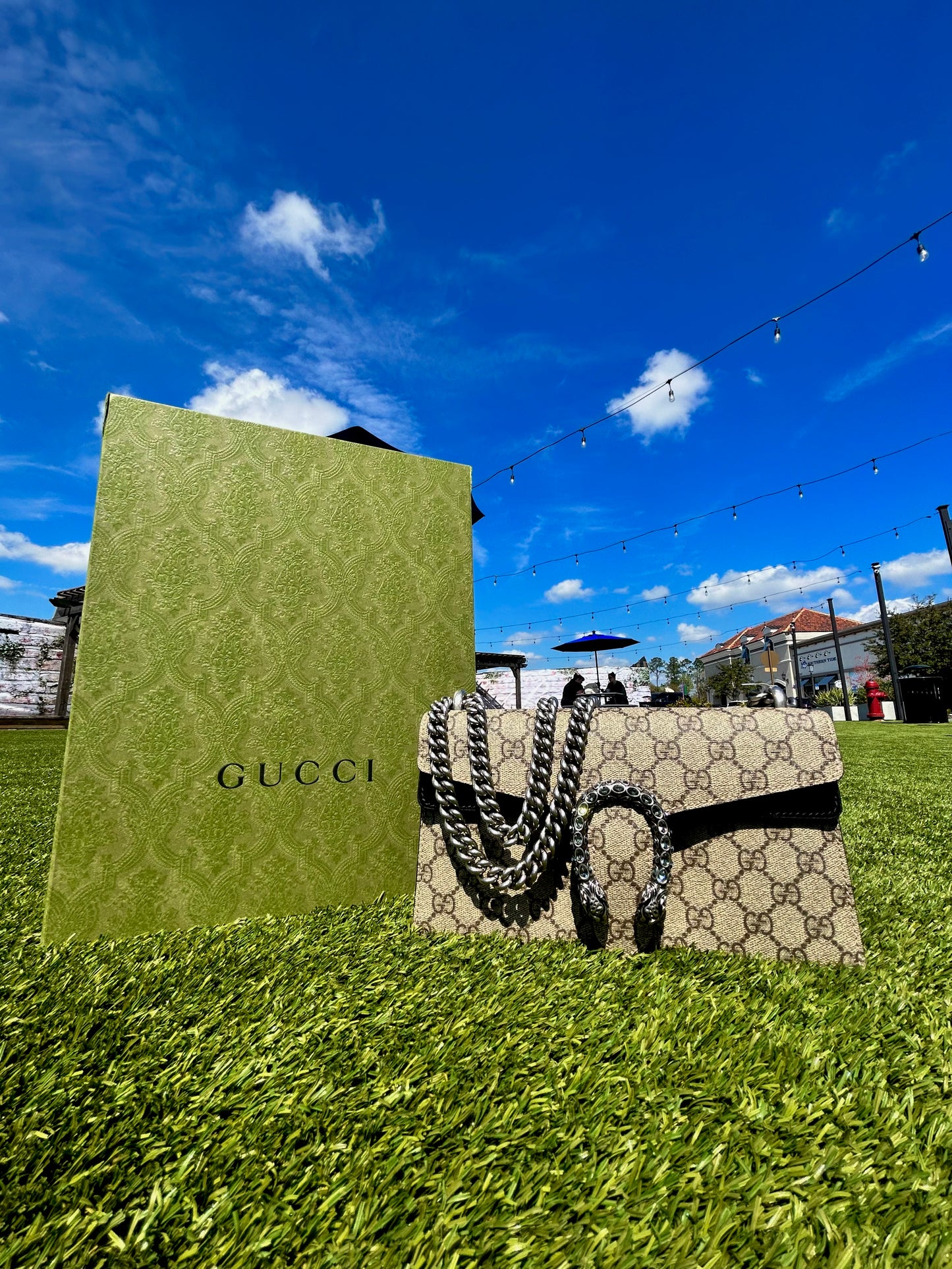 Dionysus Gucci Bag - The Village Jeweler